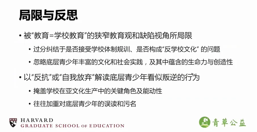 幻灯片标题为“局限与反思”，指出以往研究局限于“教育=学校教育”的狭窄视角，过度关注学生是否反学校，忽略了青少年文化实践中的生命力与创造力，也掩盖了学校在亚文化生产中的角色、加重了对底层青少年的污名。