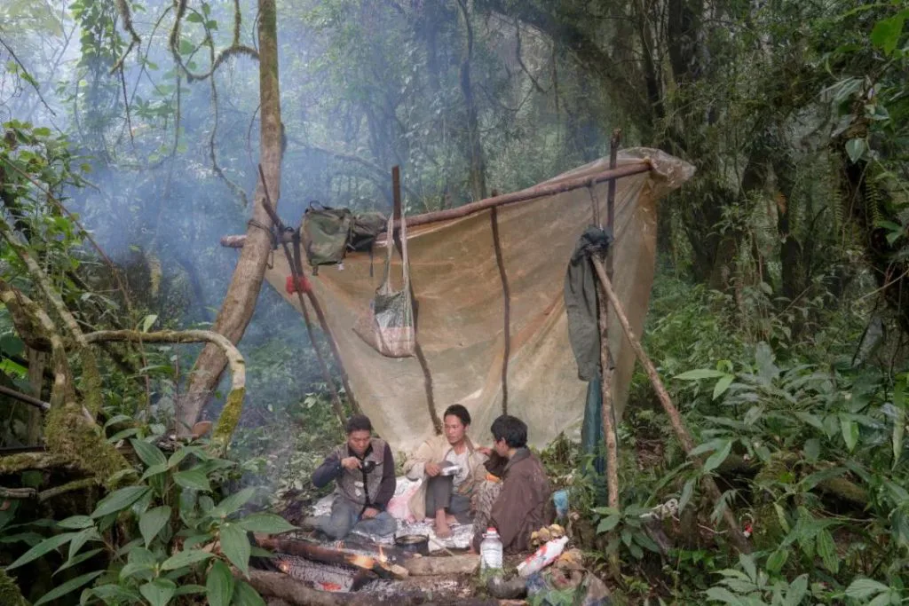 三名男子围坐在雨林中用塑料布和树枝搭起的简易棚屋下,面前燃着篝火,四周树木茂密、雾气弥漫。