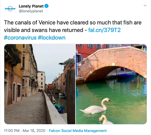 Lonely Planet推特账号发布的推文截图，写道运河变清、鱼可见、天鹅归来；下配两张照片：一条威尼斯河边小巷，及石桥下两只天鹅游过绿色河水。