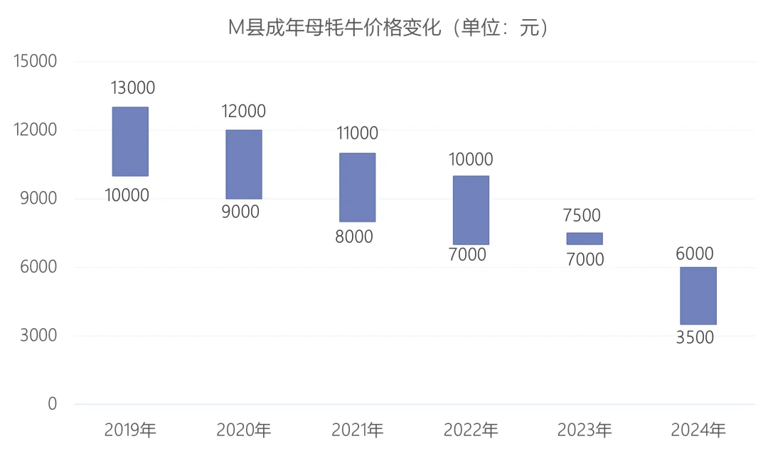 柱状区间图显示M县成年母牦牛价格从2019年到2024年逐年走低，价格区间从万元级降至三千余元。