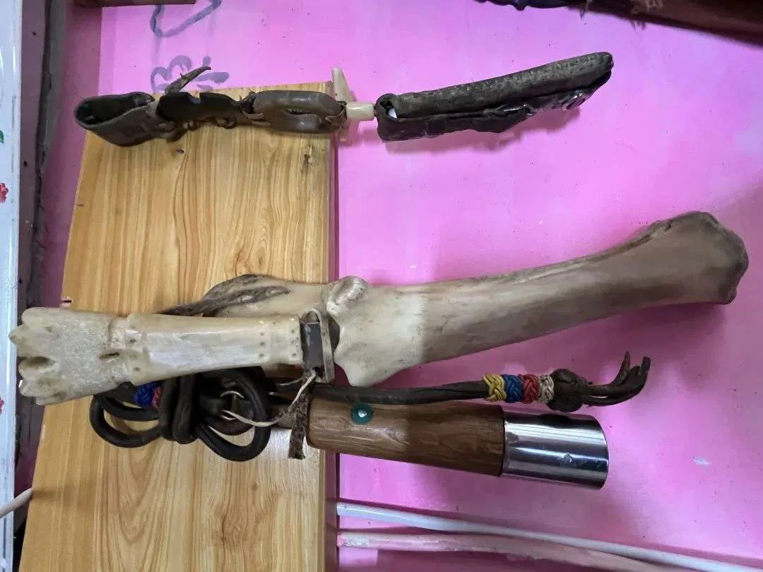 木板上挂着用整条兽腿骨（保留蹄部）做成手柄的鞭子或工具，缠着彩色绳结，上方还挂着一把兽骨柄小刀。